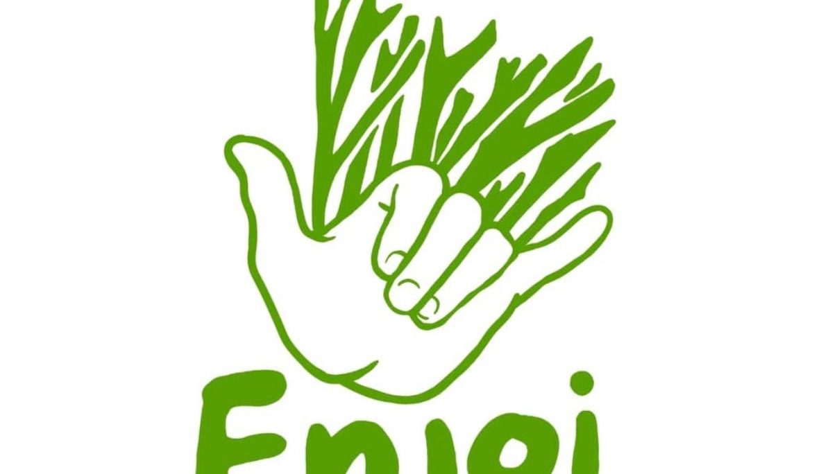 Enjoi Platycerium